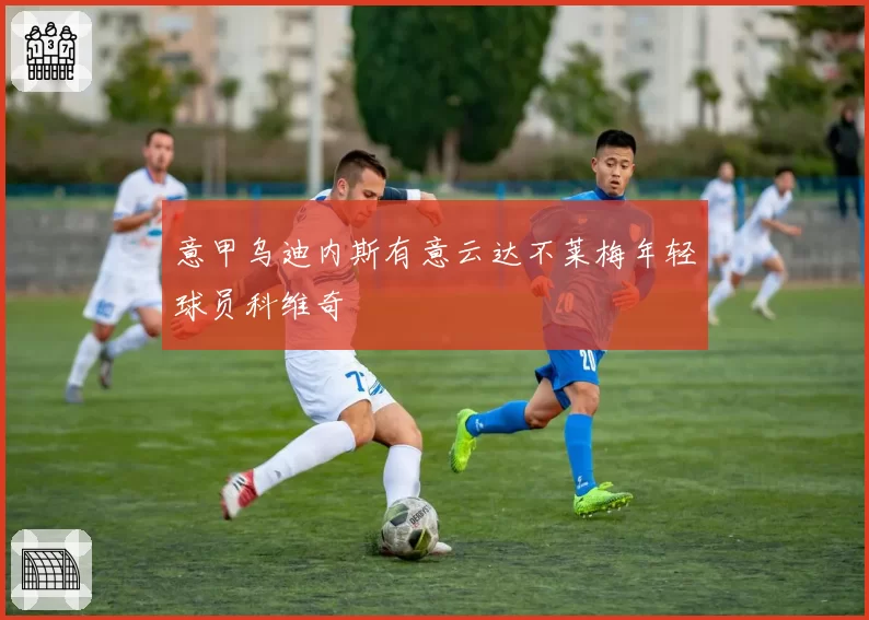 意甲乌迪内斯有意云达不莱梅年轻球员科维奇