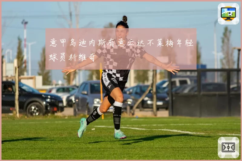 意甲乌迪内斯有意云达不莱梅年轻球员科维奇