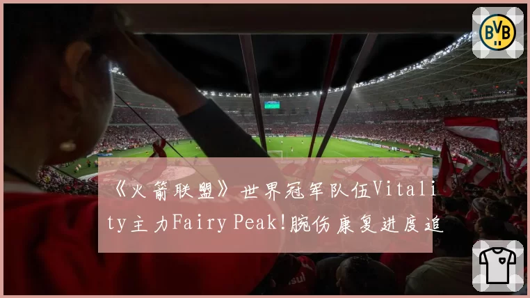 《火箭联盟》世界冠军队伍Vitality主力Fairy Peak!腕伤康复进度追踪