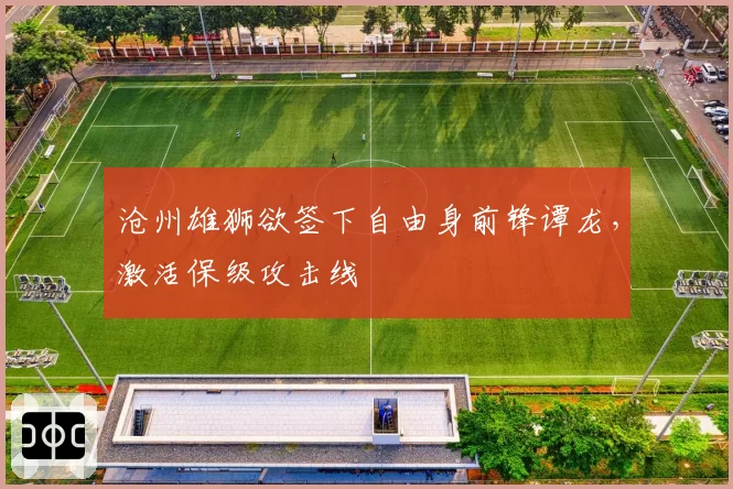 沧州雄狮欲签下自由身前锋谭龙，激活保级攻击线