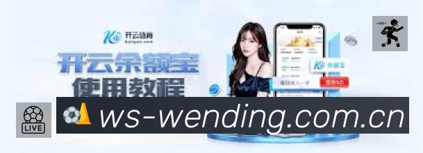 全球访问热力分布图